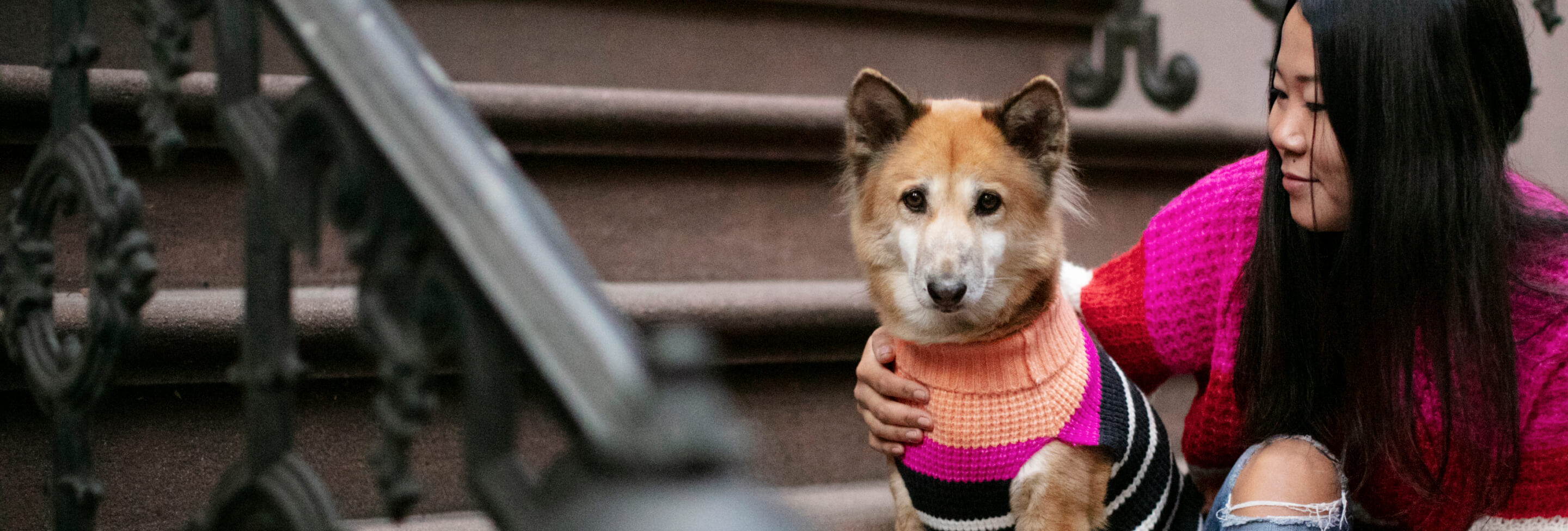 Girl in pink vest siting with a cute dog in a vest