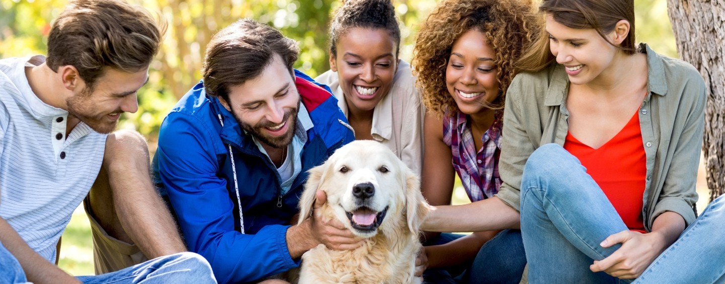 Happy group of people hanging out with golder retriever