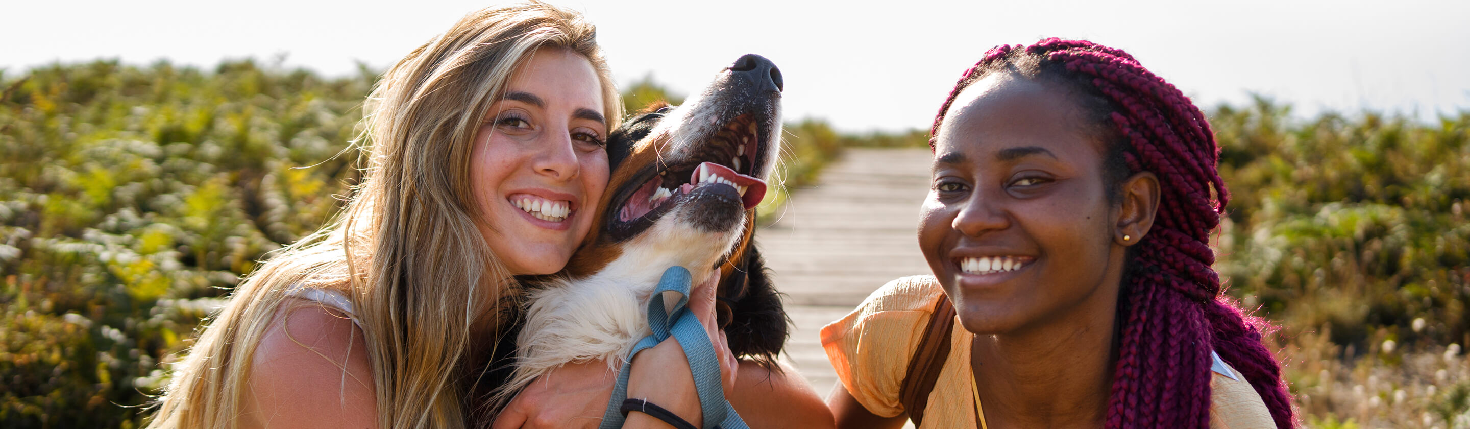 Happy group of people hanging out petting a dog